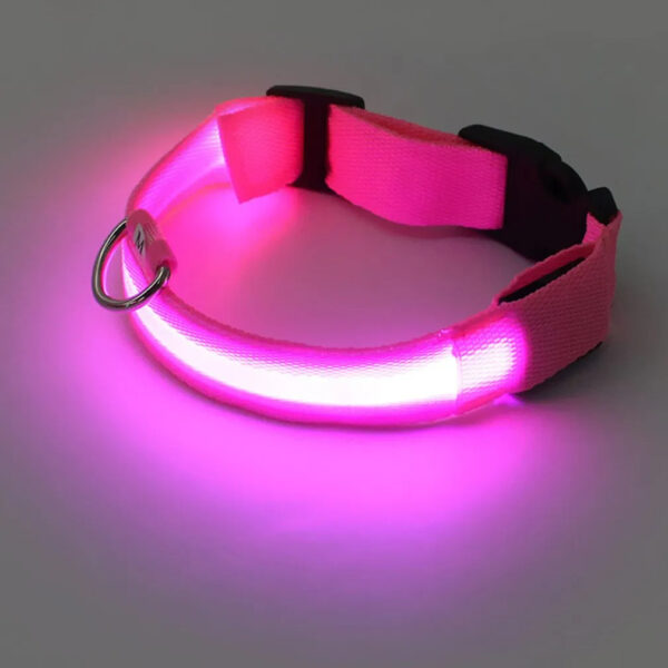 Collar Luz Led Para Perros Gatos Ajustable Con 3 Modos Pilas