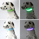 Collar Luz Led Para Perros Gatos Ajustable Con 3 Modos Pilas