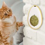 Novedoso Juguete Para Gato diseño Huevo hervido Hierba Gatera Bola Catnip